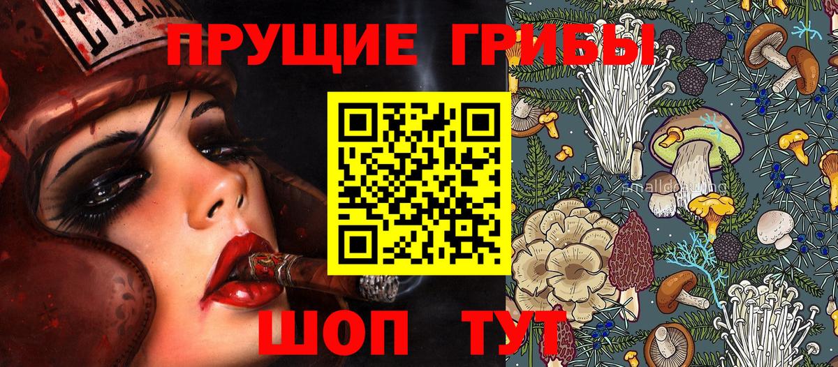 Рязань  сколько стоит  Вход с VPN  Галлюциногенные грибы прущие грибы 